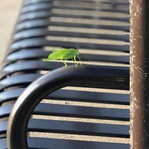 Meet your Posher, Vivica